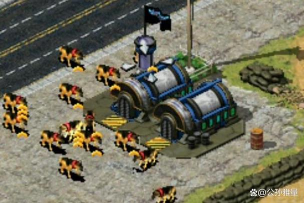 红警警犬实用技巧：如何高效利用这只忠诚的伙伴