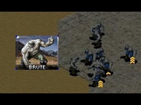 红警狂兽人养成指南：从菜鸟到高手，快速进阶