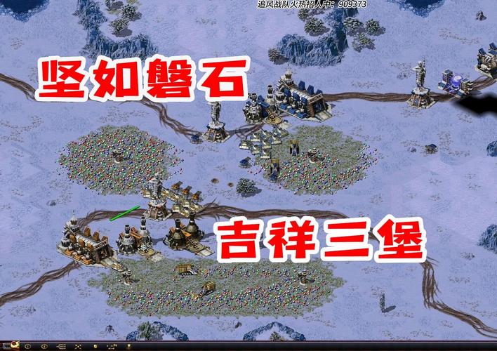 红警龟的寿命有多长？红警龟的生长周期与健康养护