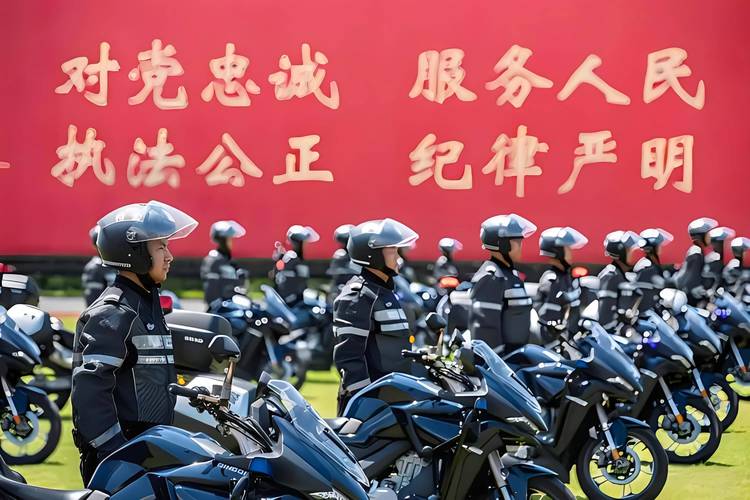 红警勤务员：维护社会公平正义的守护神