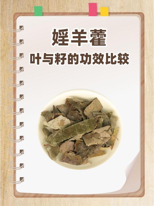 红警叶的功效与作用有哪些？你不得不知道的秘密！