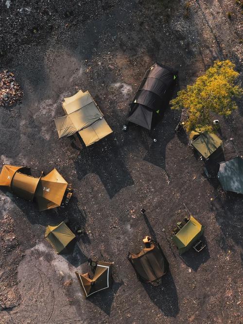 红警3戛纳任务：鲨鱼与诱饵的完美战术策略