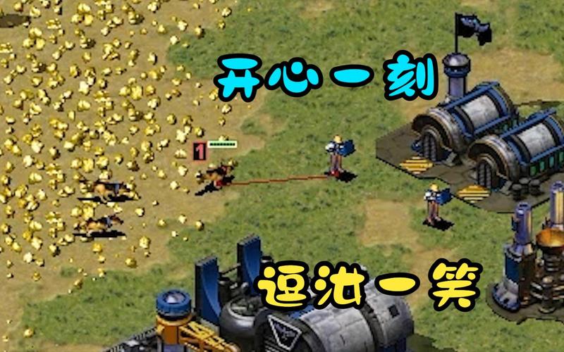 红警狗用法详解：新手必看实用技巧