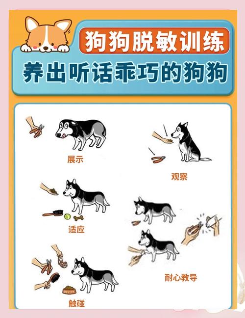 红警狗场战术详解：轻松应对狗群进攻