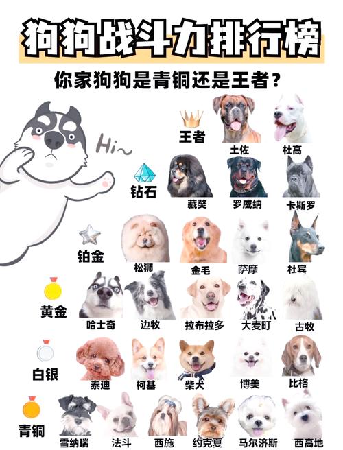 红警打狗教学：新手必备的犬类单位对抗策略