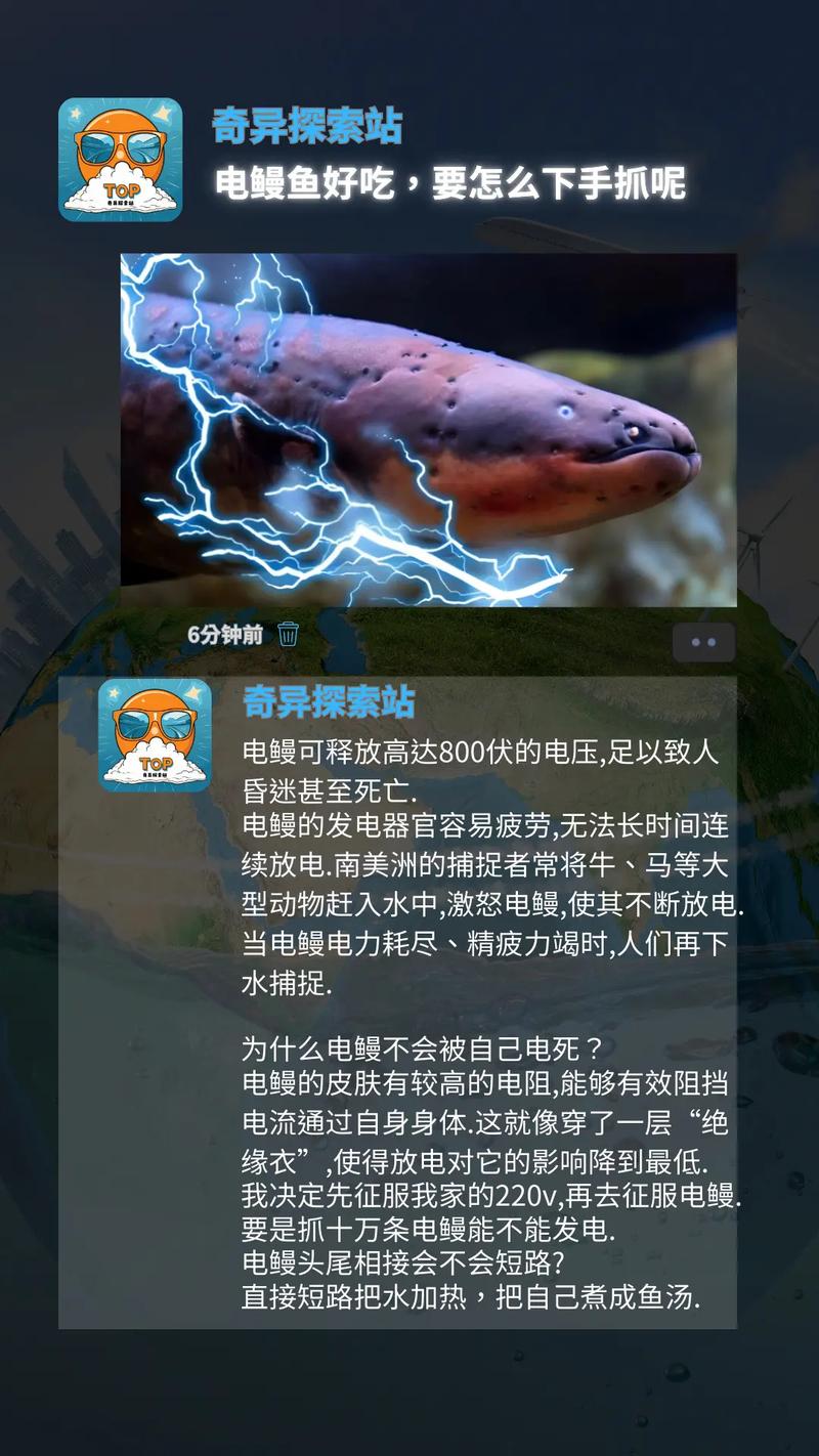 红警3电鳗无敌？教你轻松玩转电鳗速通！