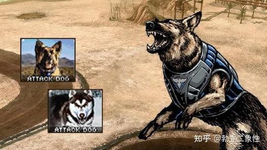 3星狗红警：揭秘隐藏属性，3星狗的真正威力