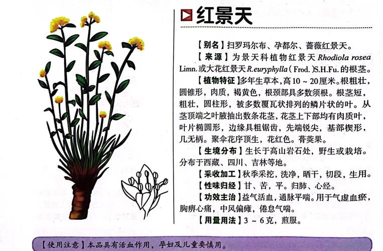 大住红警天，空气污染严重！教你如何有效防护