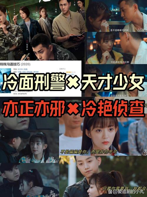 赤红警探：那些你不知道的惊险破案故事
