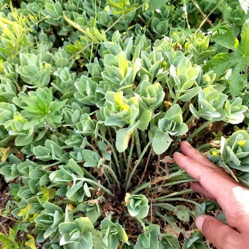 大住红警天，空气污染严重！教你如何有效防护