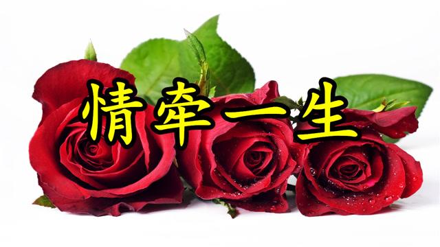 好听的红警爱情歌推荐，你听过吗？