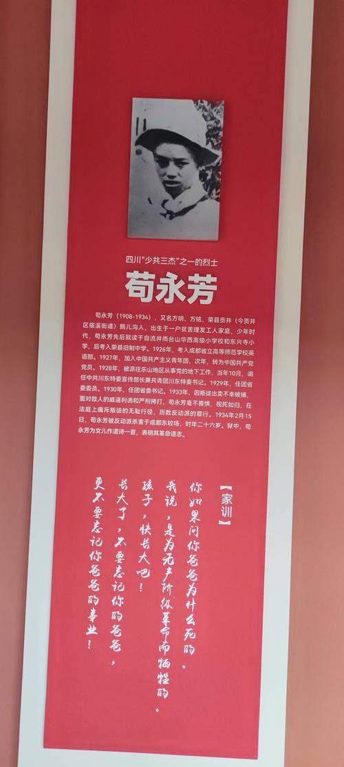 红色警戒女孩的故事：忠诚勇敢的革命卫士