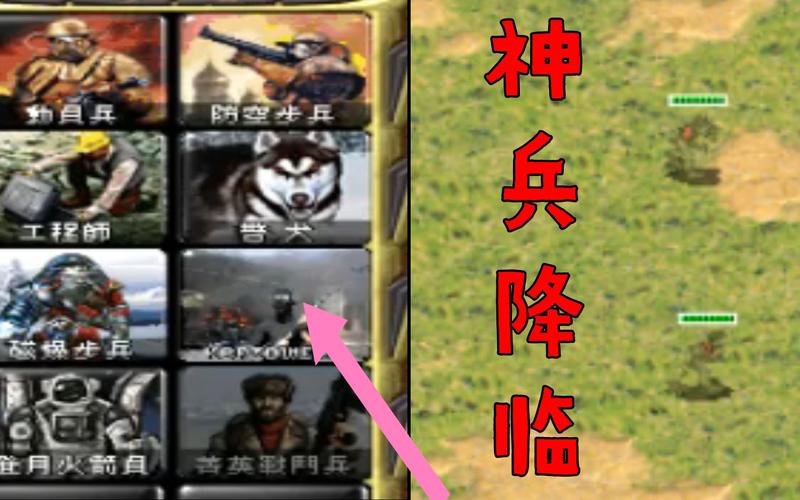 红警卡等级攻略：新手也能玩转高级兵种