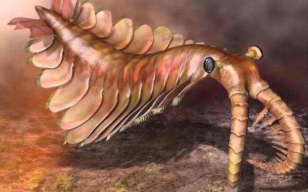 你真的了解红警2海蝎吗？揭秘海蝎不为人知的秘密