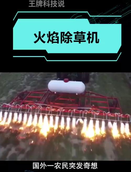 红警游戏里怎么除草？几种方法轻松解决！