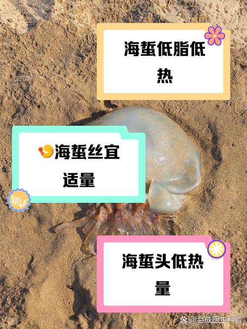 如何玩转红警海蜇？新手玩家必看实用技巧