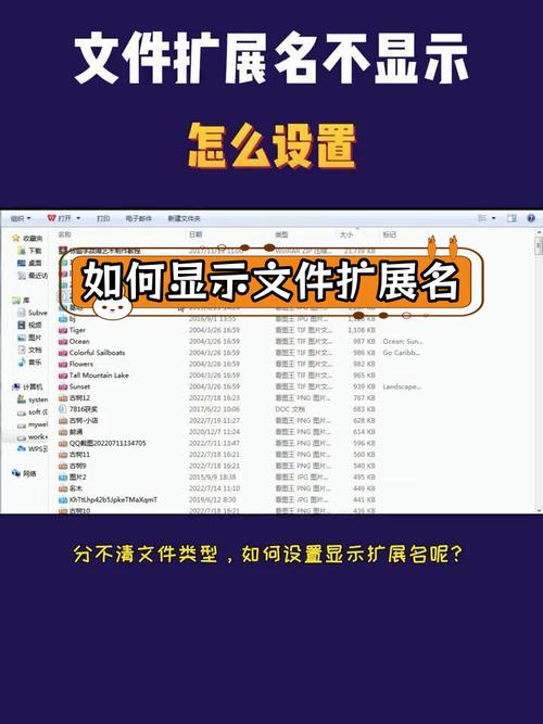 如何快速识别红警地图文件的不同后缀名