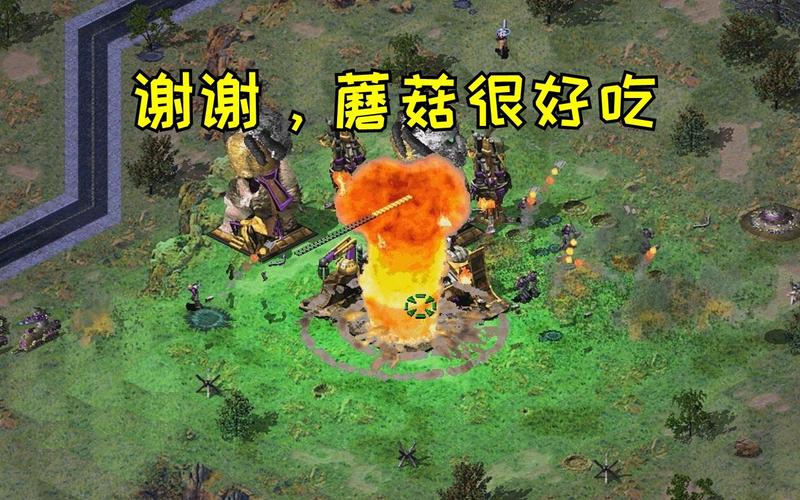 探秘红警2正涛:高玩背后的游戏心得