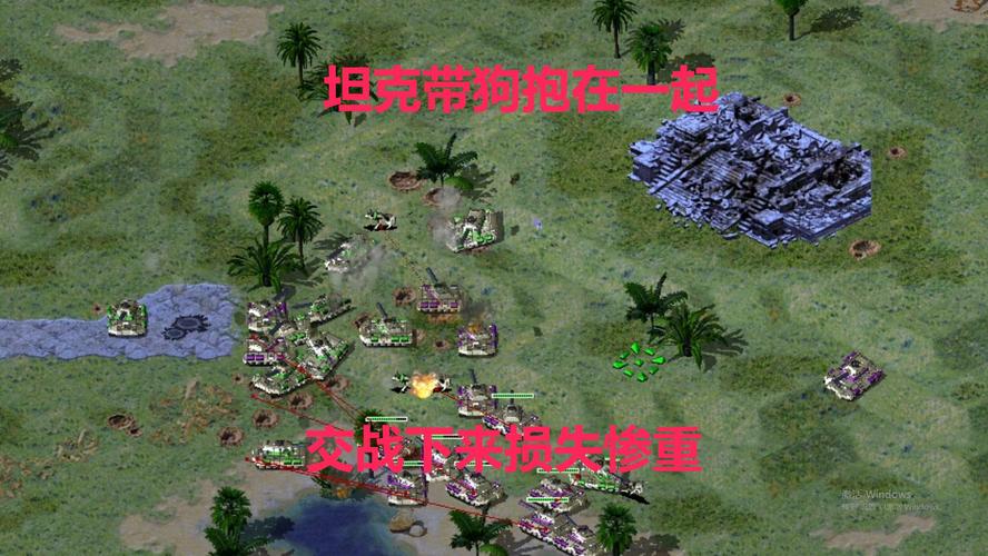 红警狗场战术详解：轻松应对狗群进攻