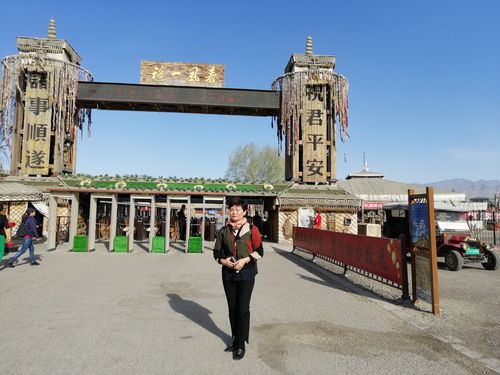 宁夏红警：平安宁夏建设的坚实力量