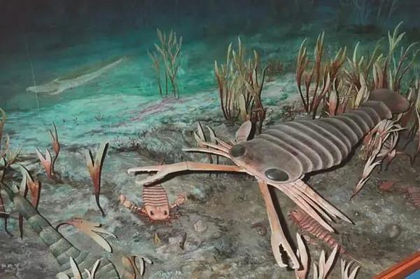 你真的了解红警2海蝎吗？揭秘海蝎不为人知的秘密