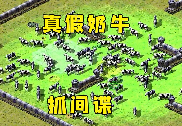 红警间谍偷钱技巧详解：玩转间谍致富