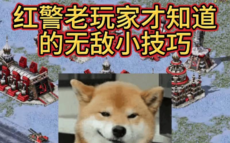 红警新手容易犯的错误,老玩家总结经验分享