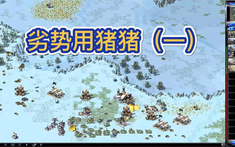 热议猪猪红警圈：玩家真实体验与评价