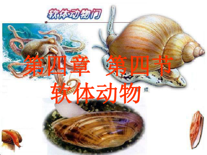 解密红警软体生物：游戏设定与现实生物学的奇妙碰撞