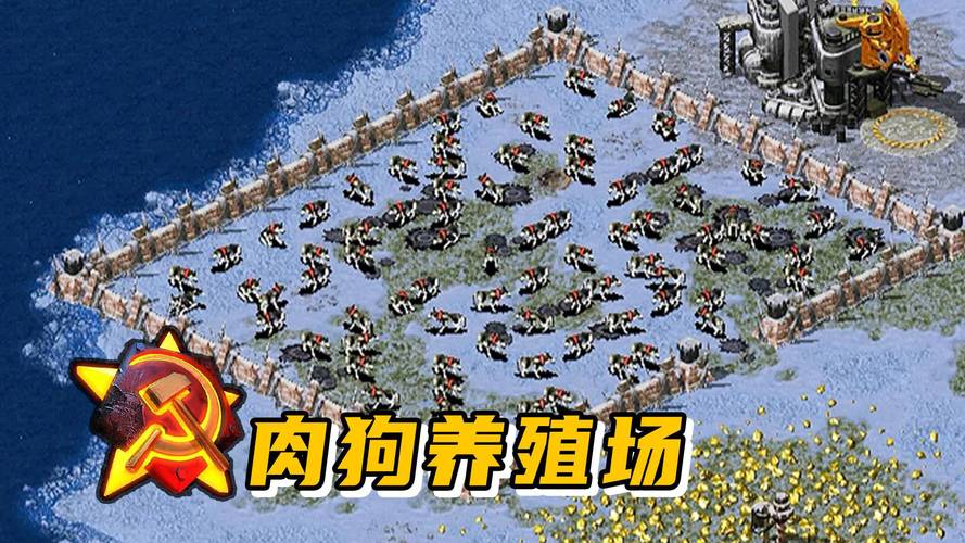 猫咪玩家的红警游戏：策略与萌宠的完美结合
