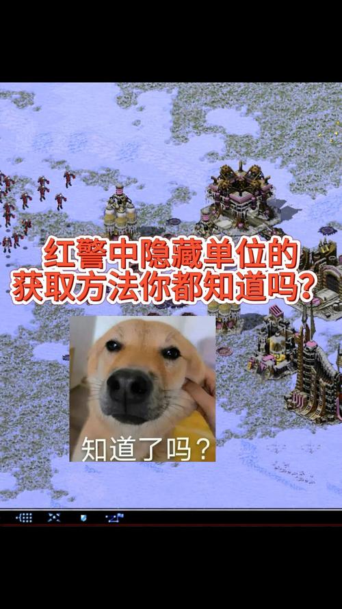 3星狗红警：揭秘隐藏属性，3星狗的真正威力