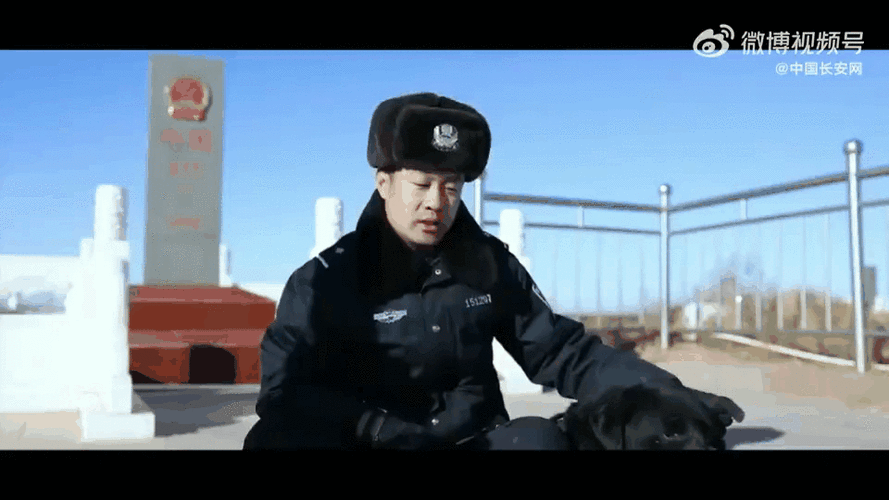 雪里红警犬：忠诚伙伴，守护家园