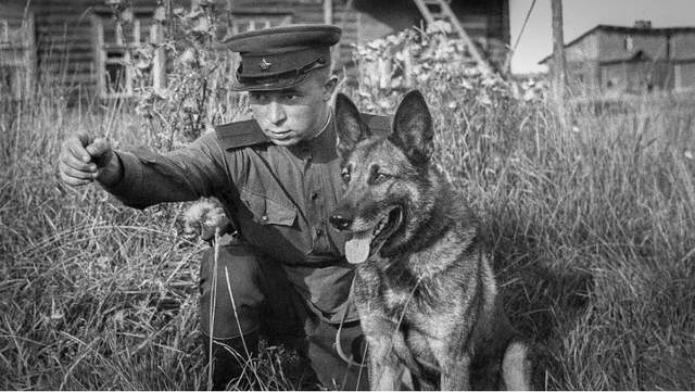 解锁红警2蛙人潜能：成为游戏高手必看攻略