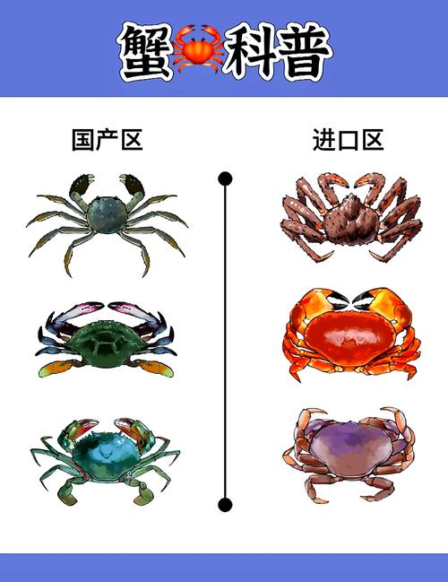 红警3螃蟹怎么玩?新手必看螃蟹使用攻略