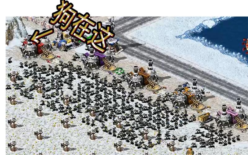 3星狗红警：揭秘隐藏属性，3星狗的真正威力