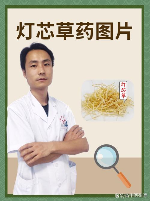 红警叶的功效与作用有哪些？你不得不知道的秘密！