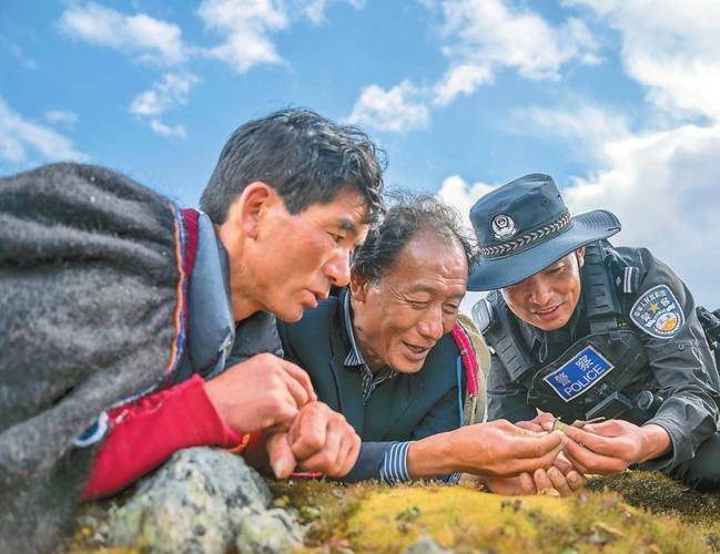 藏族网红警察的日常：揭秘高原上的守护者