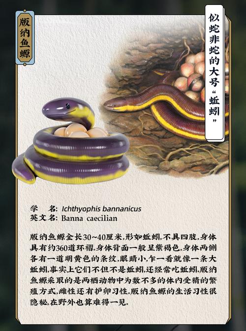 红警游泳修改方法：轻松实现水陆两栖作战