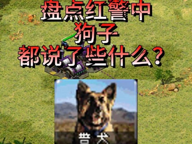 3星狗红警：揭秘隐藏属性，3星狗的真正威力