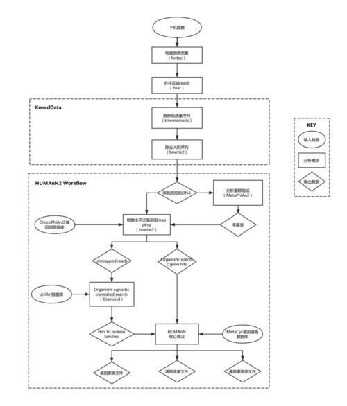 红警经典排阵方法：实战经验分享与分析