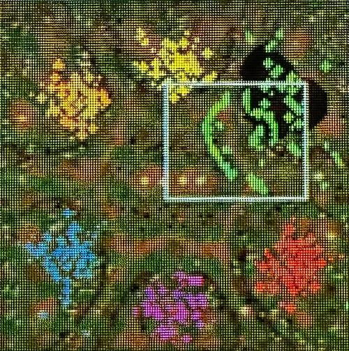 红色警戒2：快速有效克制海豚的终极攻略