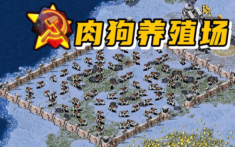 红警挠丝袜：爆笑沙雕瞬间，重温经典游戏回忆