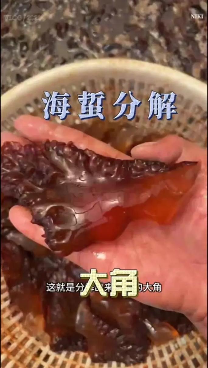 如何玩转红警海蜇？新手玩家必看实用技巧