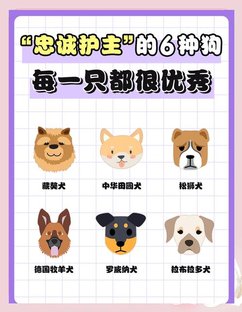 红警游戏里的狗都有哪些品种？速看这篇攻略