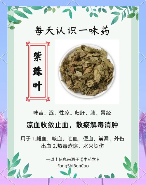 红警叶的功效与作用有哪些？你不得不知道的秘密！