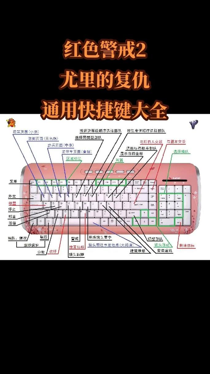 玩转红警:高效选定队伍的实用指南