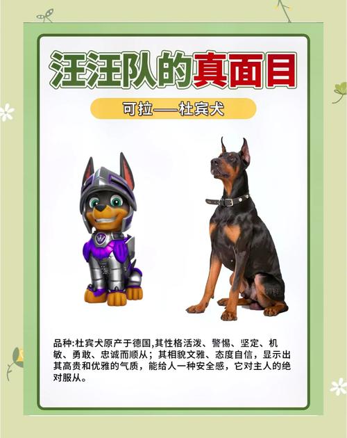 红警中如何快速有效地消灭敌人的狗？