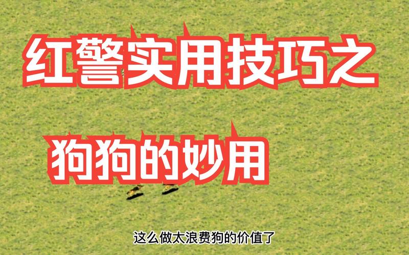 红警2间谍模仿狗玩法指南：快速上手制胜技巧