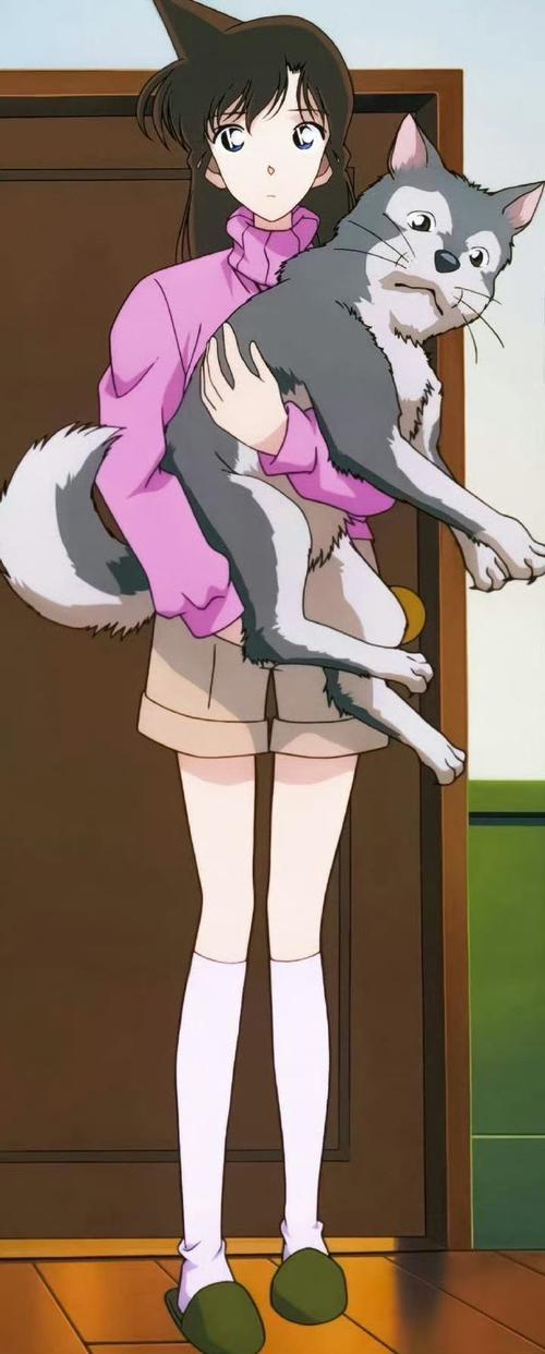 我的红警女朋友有多美？黑长直护士养成记