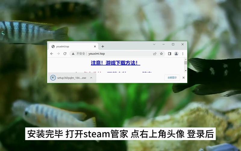 如何购买正版红警？Steam等平台购买攻略